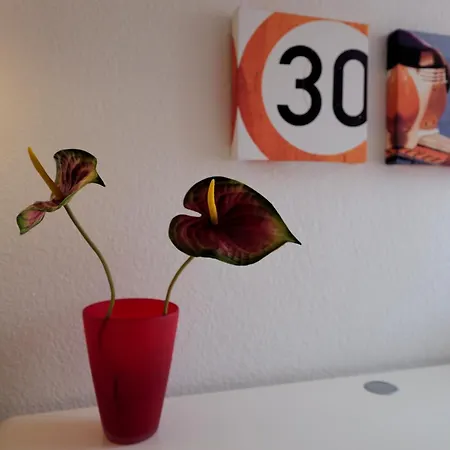 Elena Kempf Haaratelier & Braunfels