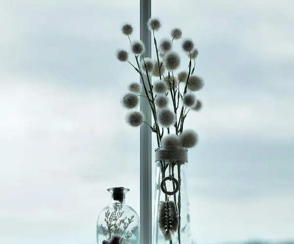 Elena Kempf Haaratelier & * Braunfels